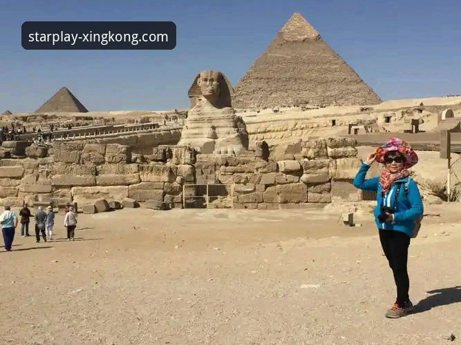 “沙漠天堂”与“中东困局”：顶级网球赛事的后勤保障与观赛体验深度评测