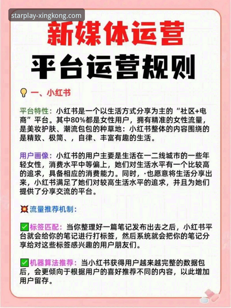 星空娱乐平台使用体验全解析：资深用户分享实用指南